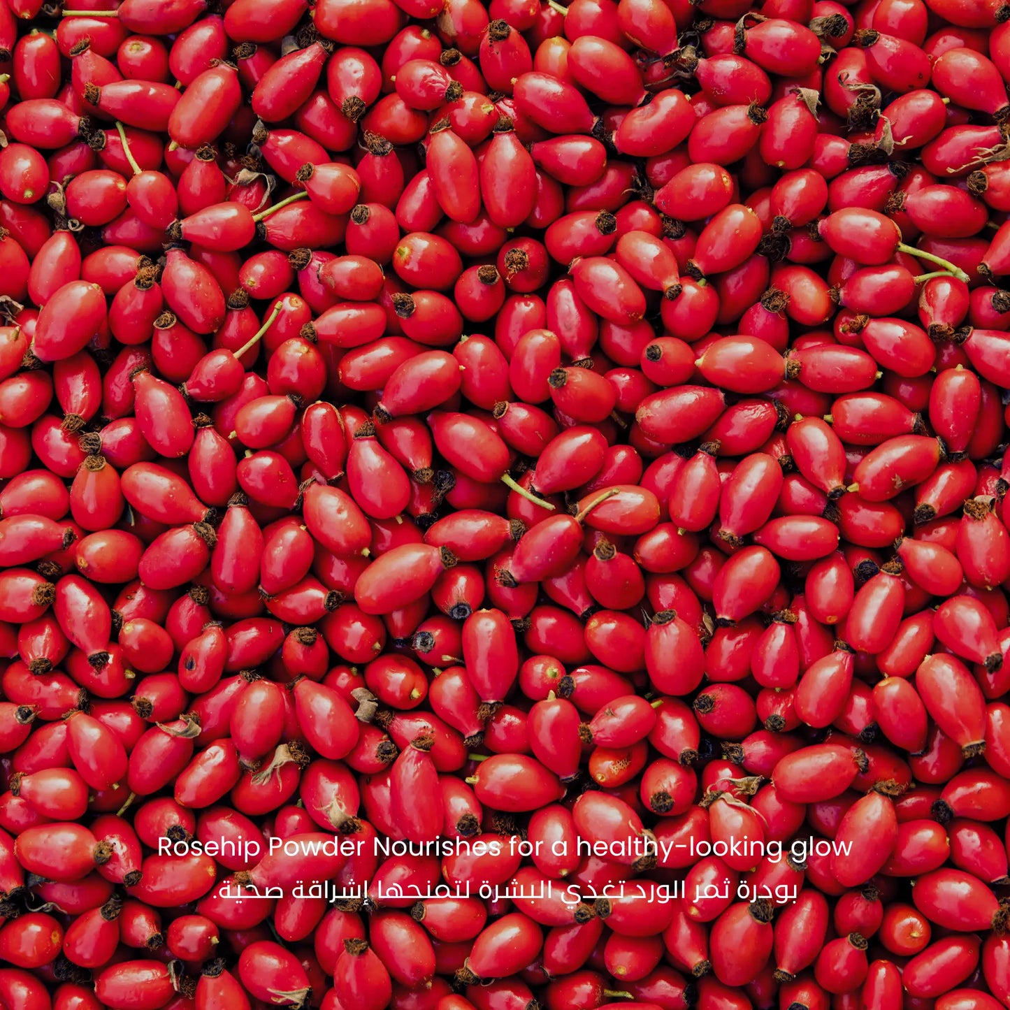 Close-up of rosehips with text about rosehip powder benefits.
