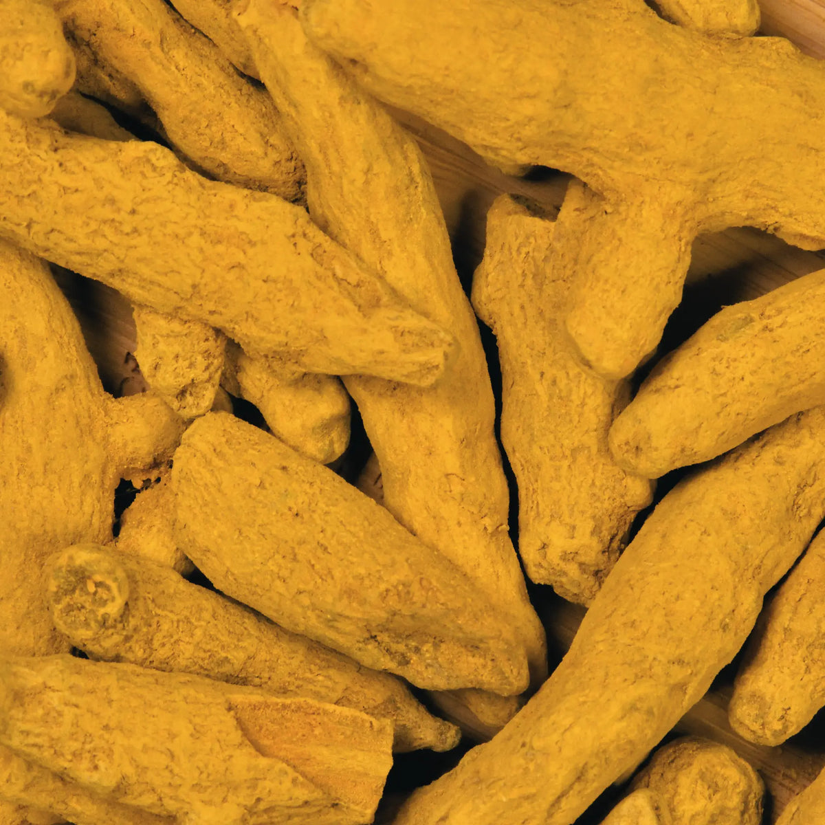 Turmeric root and powder — key ingredient in Me Time Turmeric Natural Soap, UAE