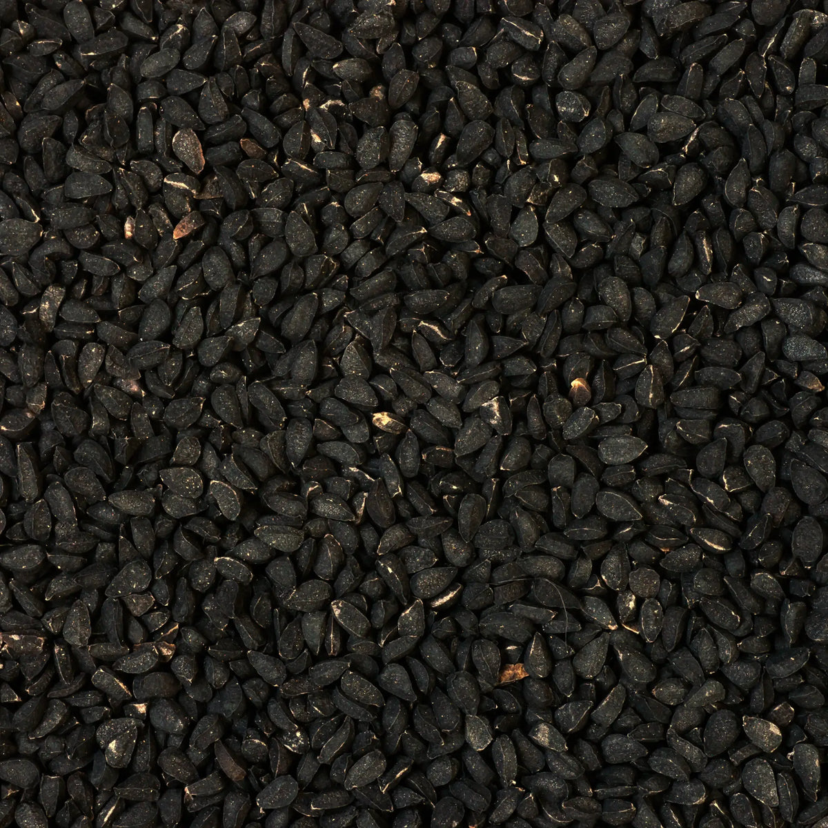 Close-up of black seeds with a dark background