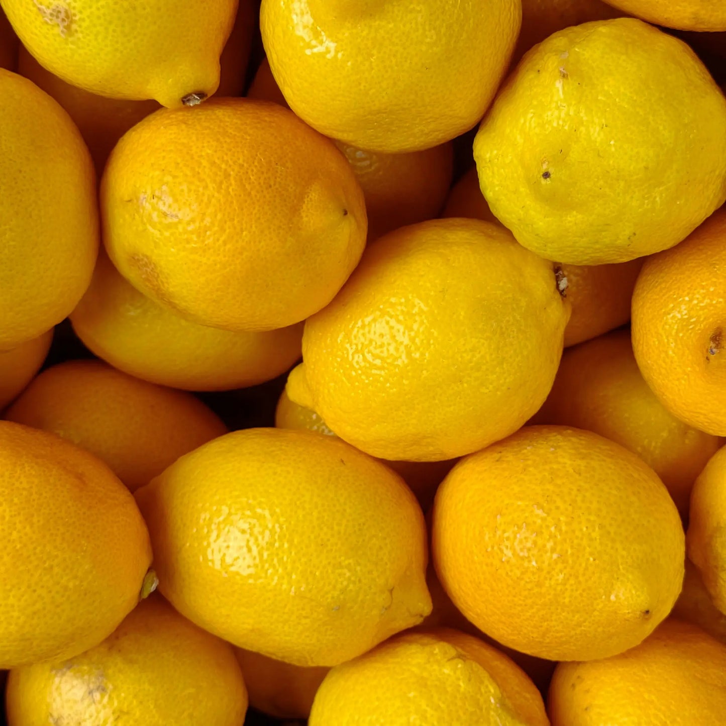 Black Seed Natural Soap