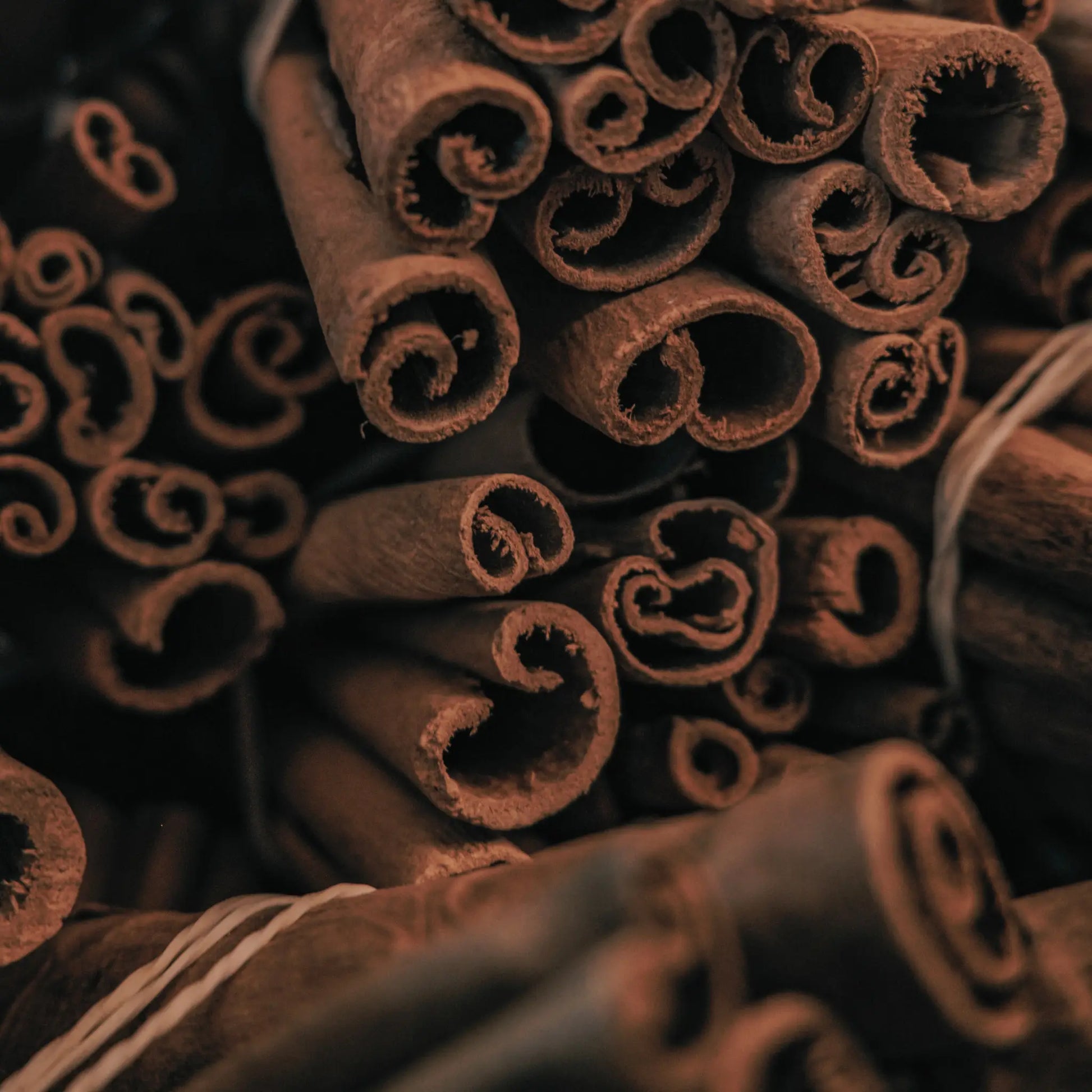 Close-up of cinnamon sticks with a dark background