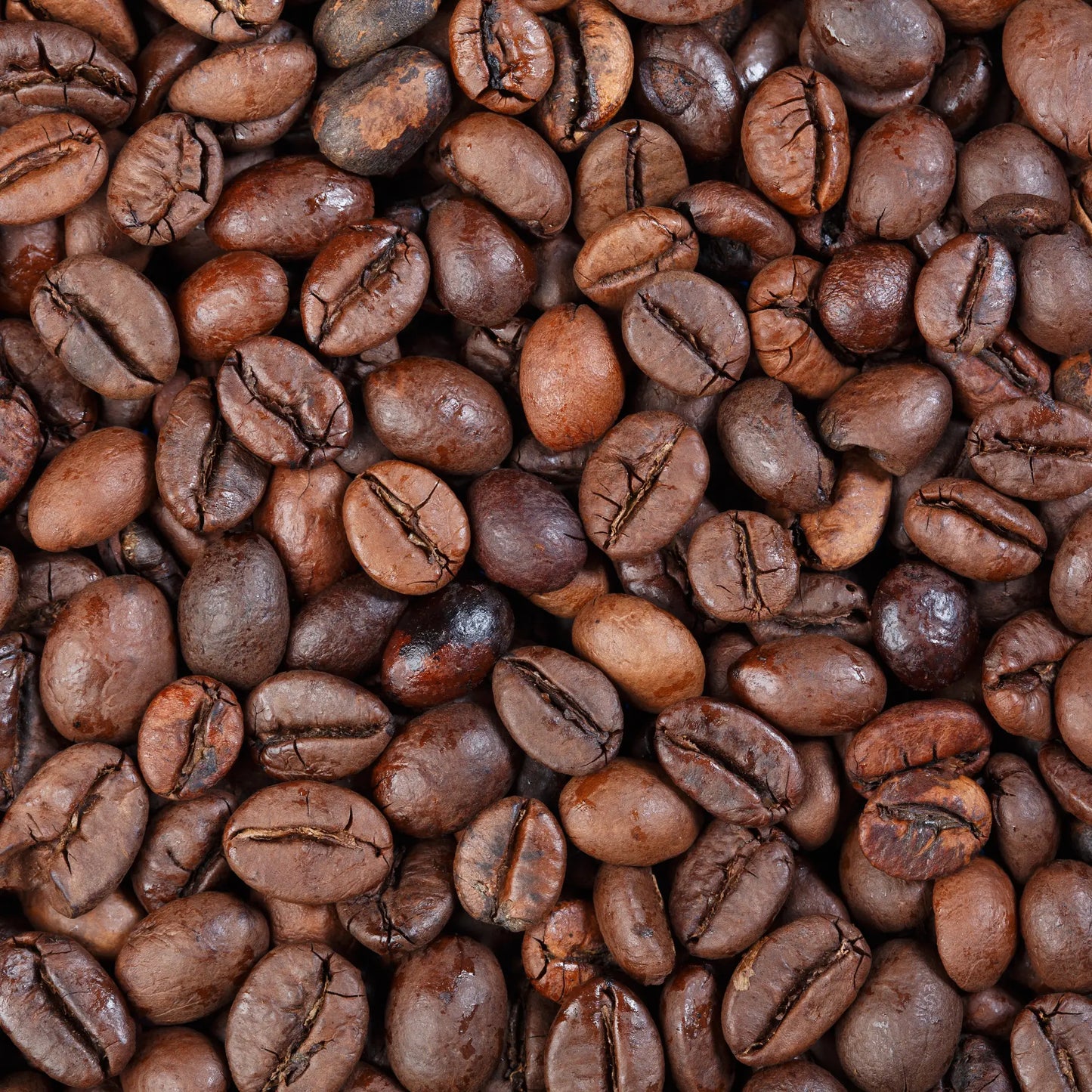 Close-up of roasted coffee beans with a rich brown color.