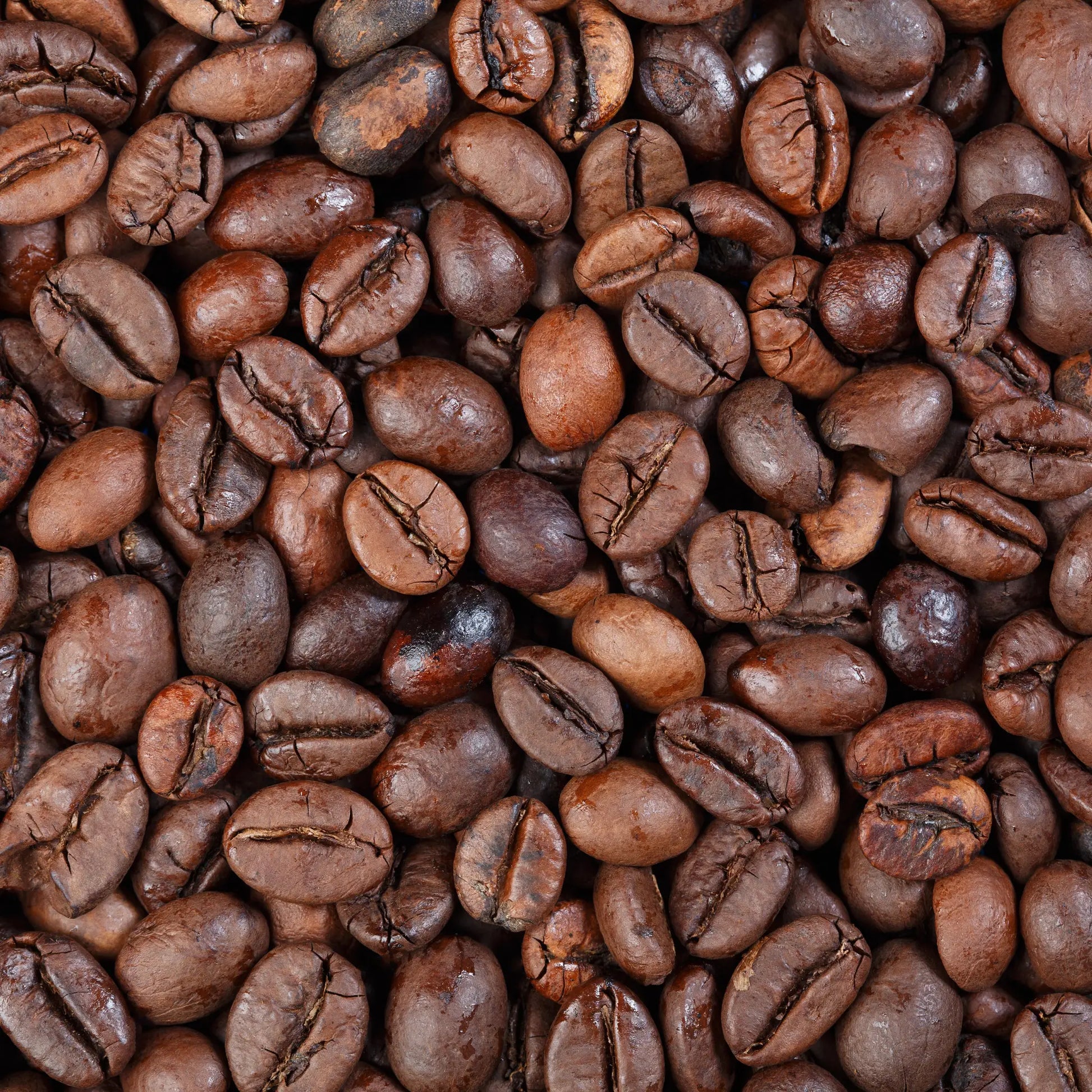 Close-up of roasted coffee beans with a rich brown color.