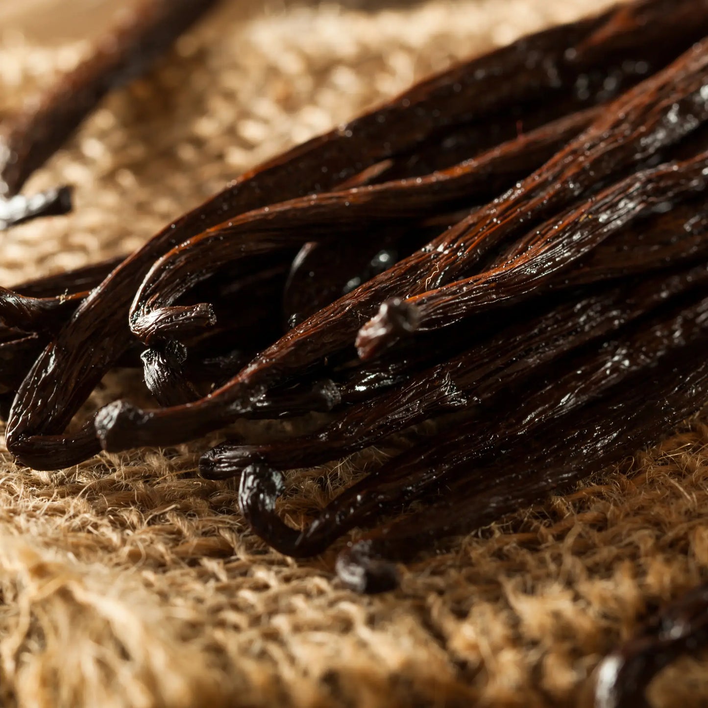 Close-up of vanilla beans on a textured surface