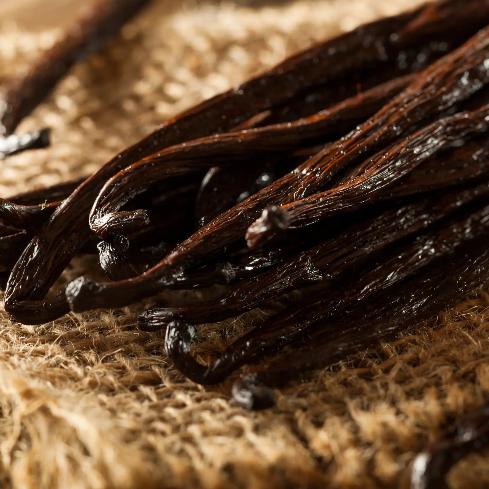 Close-up of vanilla beans on a textured surface