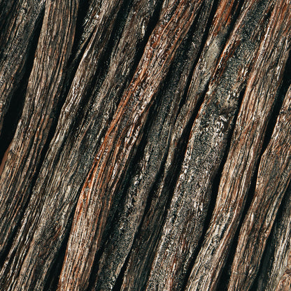 Whole vanilla pods, natural ingredient for warm, comforting fragrance in soap